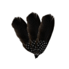 PLUMA FINA COLORES OSCUROS