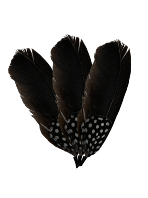 PLUMA FINA COLORES OSCUROS