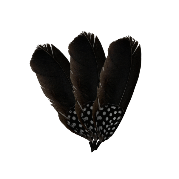 PLUMA FINA COLORES OSCUROS PLUMA FINA COLORES OSCUROS