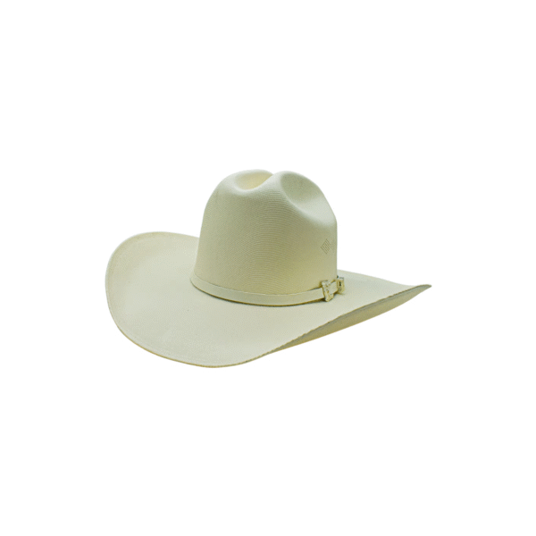 SOMBRERO CHAPARRAL 1000X PERFIL SOMBRERO CHAPARRAL 1000X