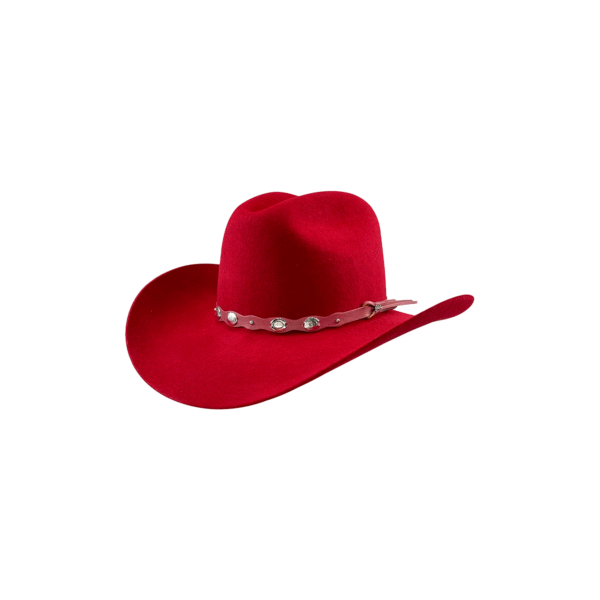 SOMBRERO DENVER 20 ESTRELLAS TINTO DENVER 20 ESTRELLAS VINO