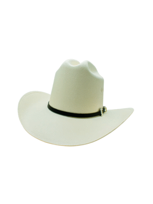 SOMBRERO EL VIEJON 1000X