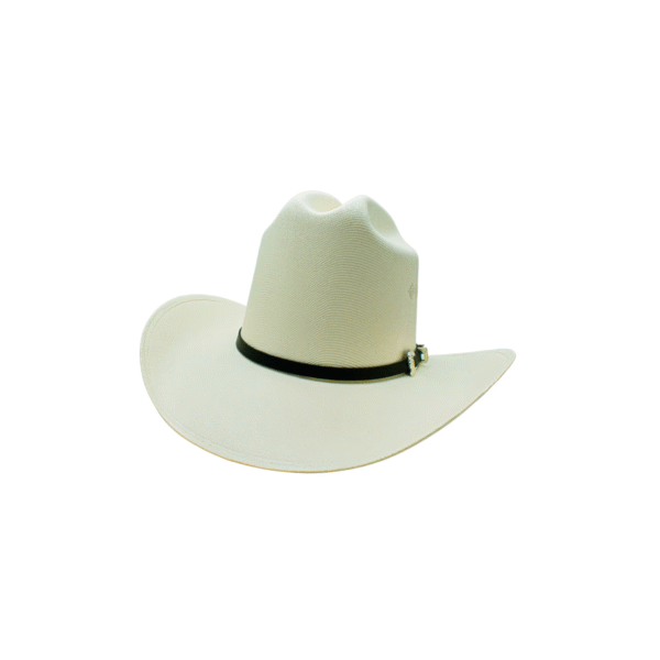 SOMBRERO EL VIEJON 1000X SOMBRERO EL VIEJON 1000X