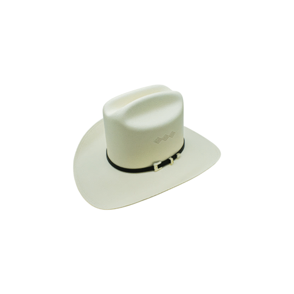 SOMBRERO EL VIEJON 1000X PERFIL SOMBRERO EL VIEJON 1000X