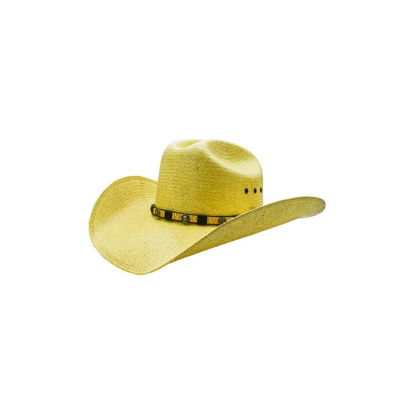 SOMBRERO MAVERICK 15X PERFIL SOMBRERO MAVERICK 15X