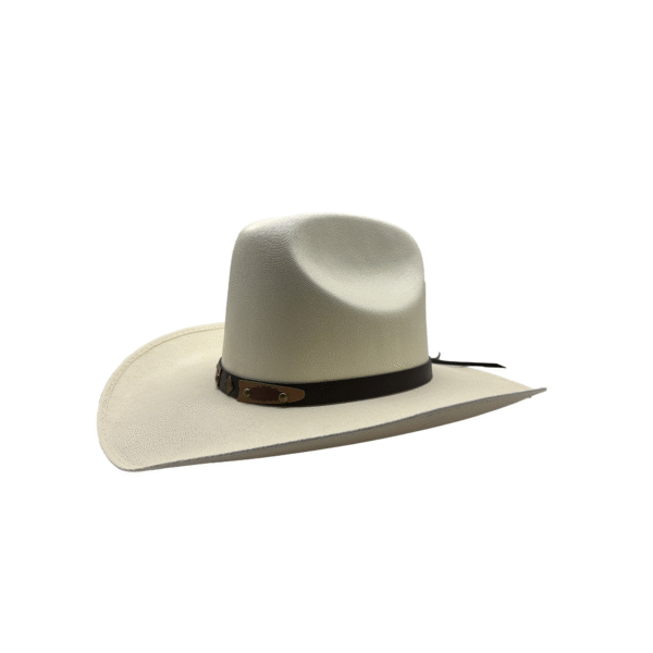 SOMBRERO TEXAS DE LONA2 SOMBRERO TEXAS DE LONA