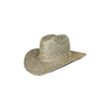 TEXANA GLITTER