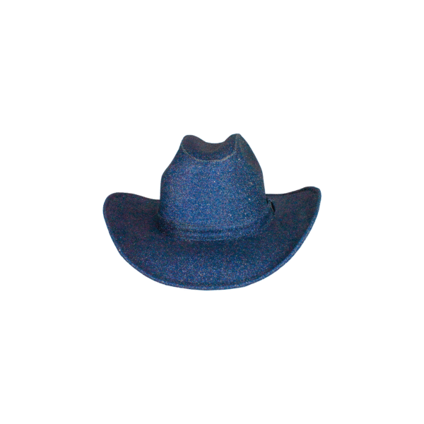 TEXANA VINIPIEL GLITTER BLACK FRENTE TEXANA VINIPIEL BLACK