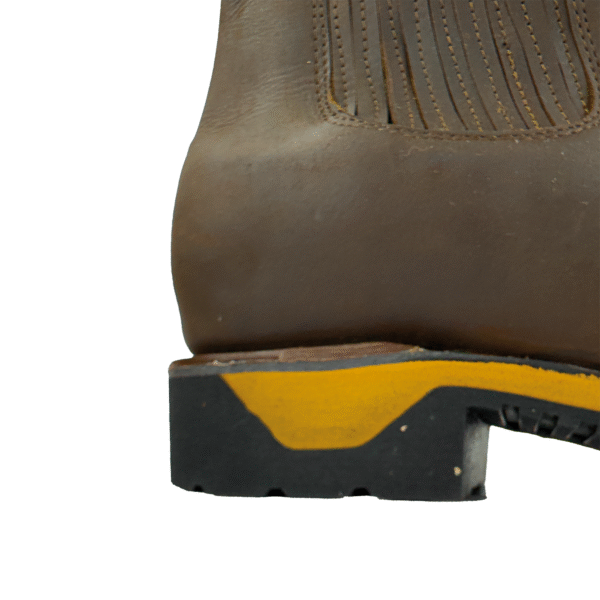 Bota de Piel DG Crazy con Ringle