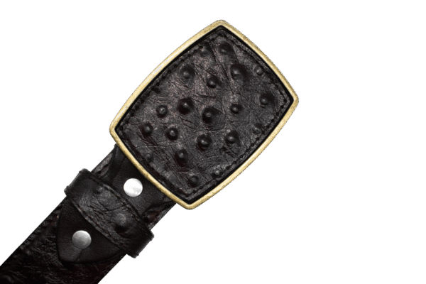 Cinturón Imitación exótico de Avestruz