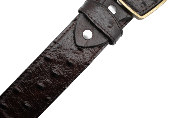 Cinturón Imitación exótico de Avestruz