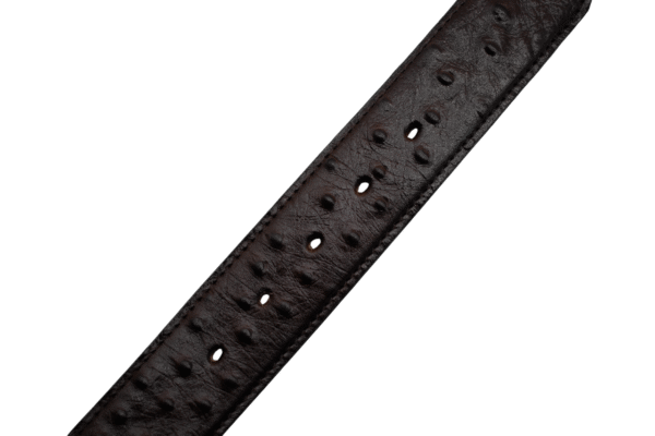 Cinturón Imitación exótico de Avestruz