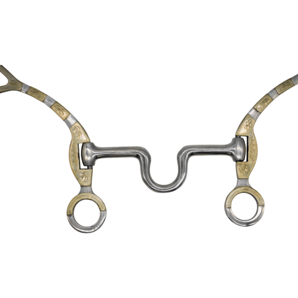 FRENO PAVONEADO CON PLACAS