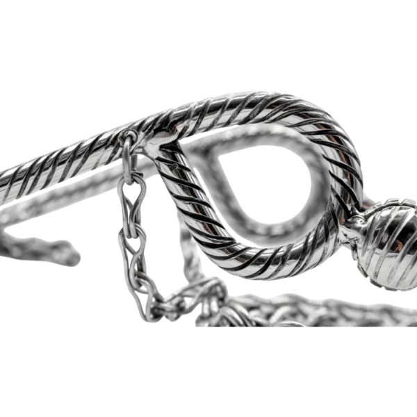 FRENO CHARRO ESCARBADO