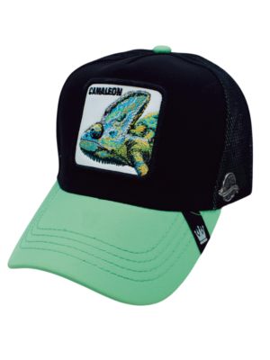 Gorra de Animales