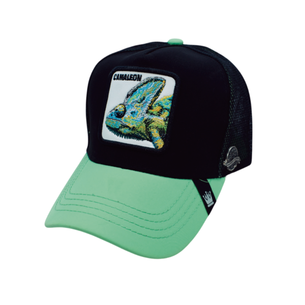 Gorra de Animales
