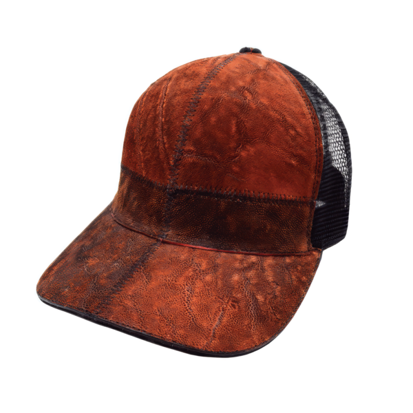 Gorra Exótica de Elefante