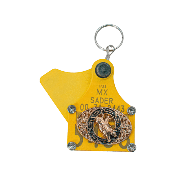 LLAVERO DE ARETILLO CON PIEDRA