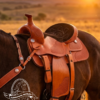 M562-1 MONTURA TEXANA FUSTE 14