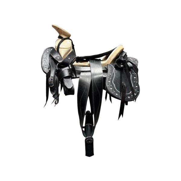 MONTURA VAQUETA SENCILLA CON CANTINAS