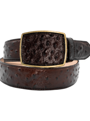 Cinturón Imitación exótico de Avestruz