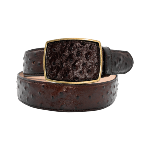 Cinturón Imitación exótico de Avestruz