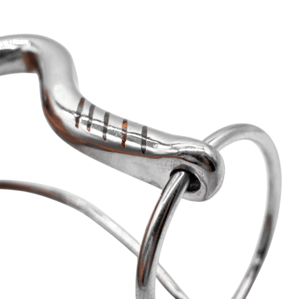 T089-2 TLACUALEJO DE ACERO