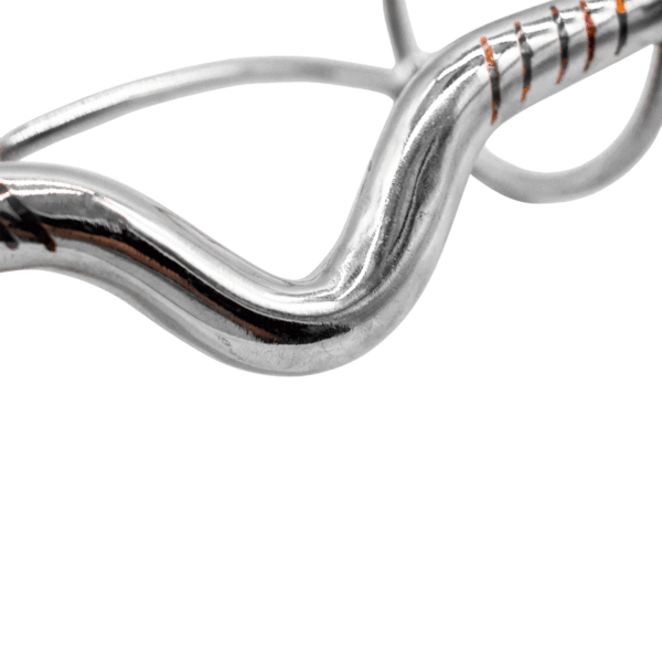 T089-4 TLACUALEJO DE ACERO