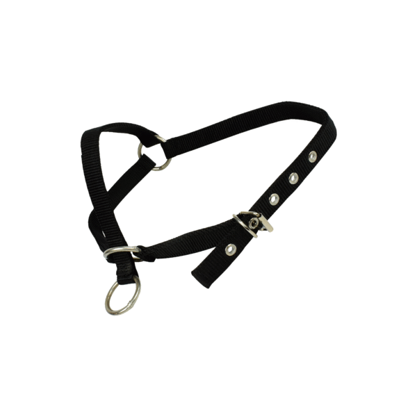 Almartigon para Borrego