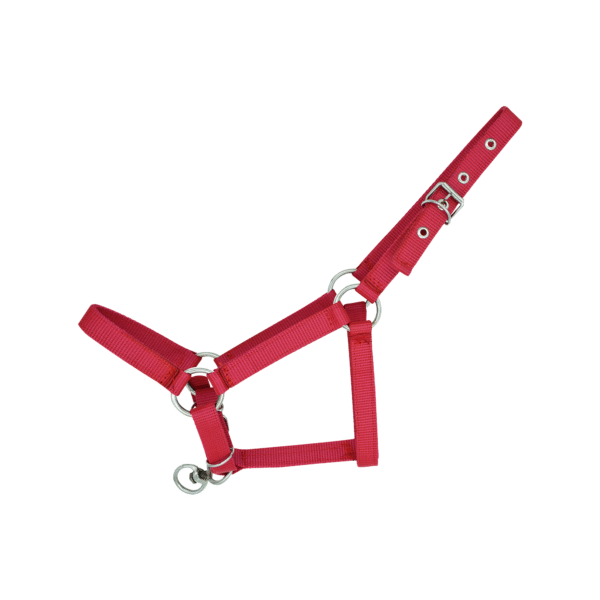 Almartigon para Pony