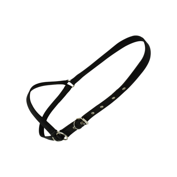 Almartigon para Toro