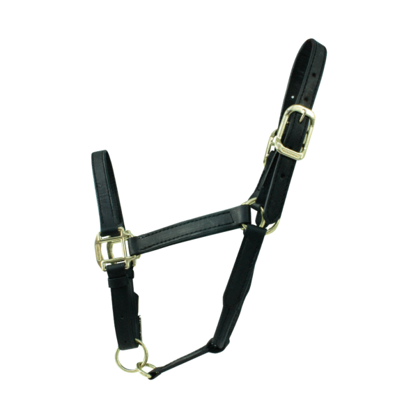 Almartigon de Piel con 2 Hebillas