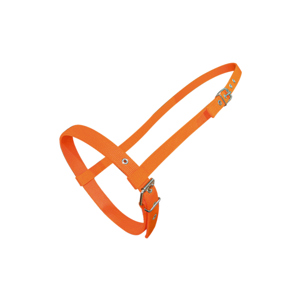 Cabezada Bozal con Ahogador Naranja