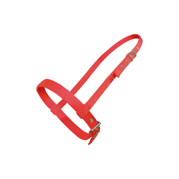 Cabezada Bozal con Ahogador Rojo