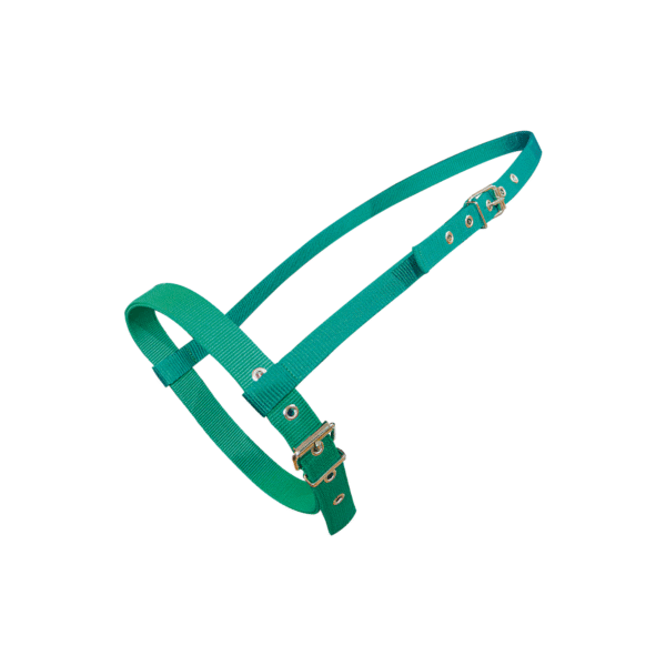 Cabezada Bozal con Ahogador Verde Agua