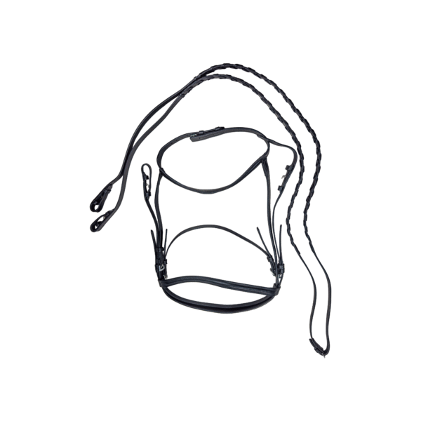 Albartidon Ingles de Piel Completo