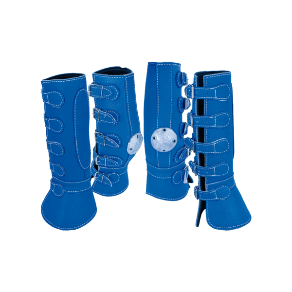 Protectores de 4 Piezas Piel con Hebilla Azul