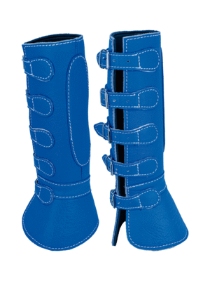 Protectores de 2 Piezas de Piel con Hebilla Azul