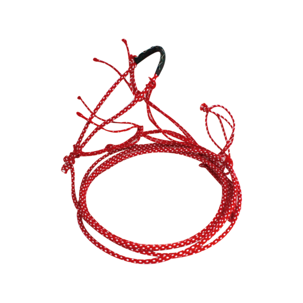 Bozal con Guía y Rienda Acrilan