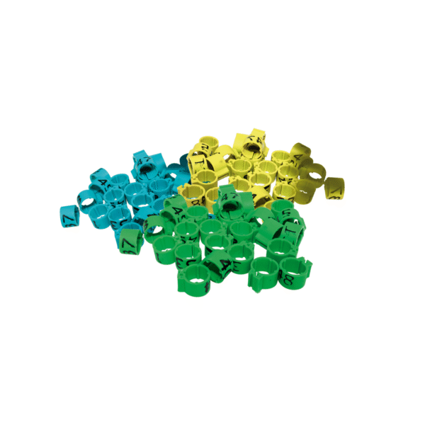 Banda para Gallo y Palomas Numerada