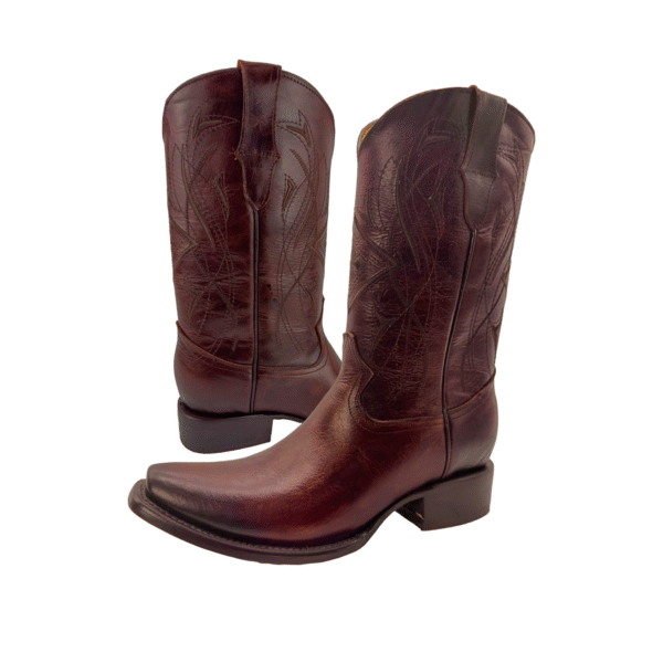 Bota de Piel Bordado de Rodeo