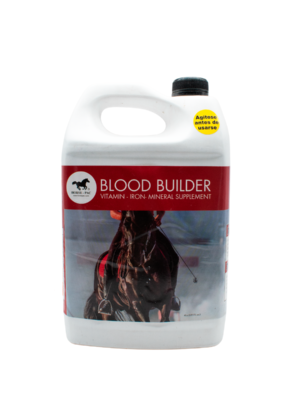 Blood Bluider Suplement