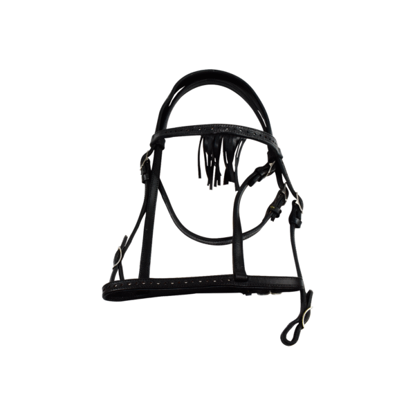 Brida de Vaqueta con Rombos y Mosquero