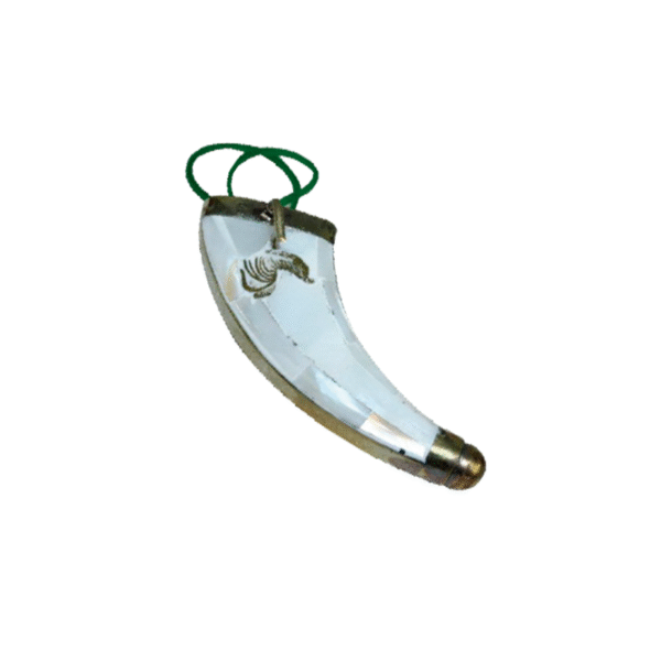 Cubierta de Concha Nagar