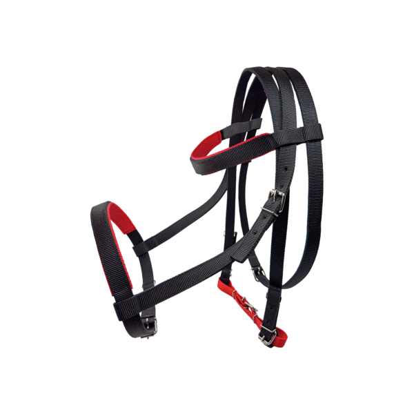 Cabezada de Carreras con Rienda Economica Negra