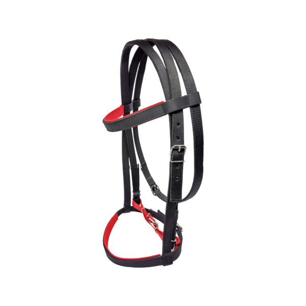 Cabezada de Carreras con Rienda Economica Negra