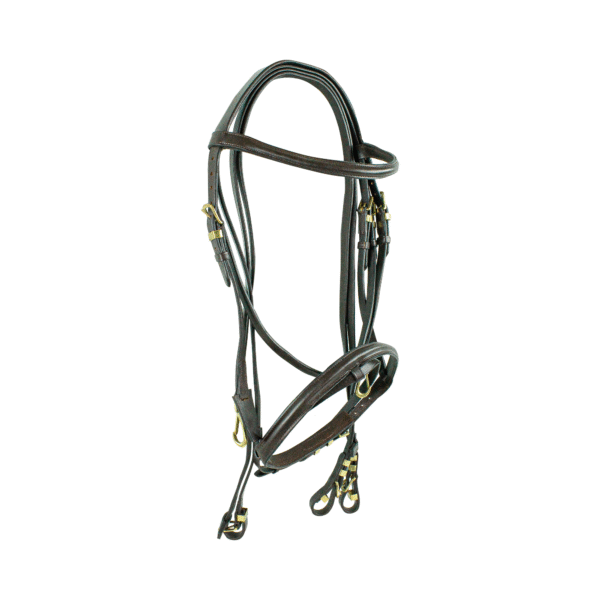 Brida de Doble Bozal