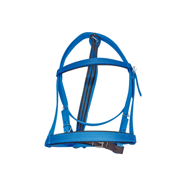 Cabezada de Carreras con Rienda Economica Azul