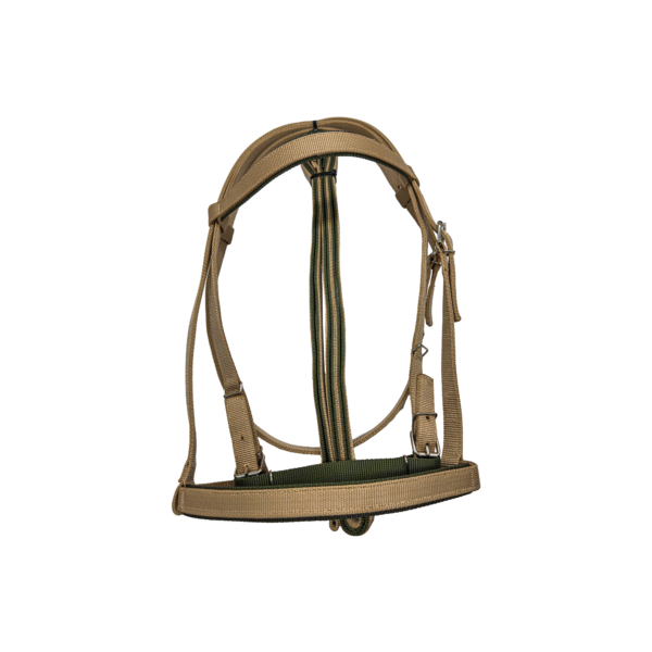 Cabezada de Carreras con Rienda Economica Cafe