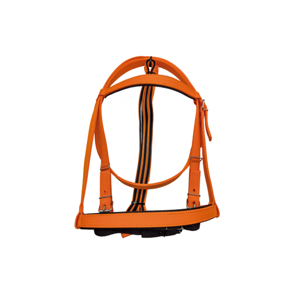 Cabezada de Carreras con Riendas Economica Naranja